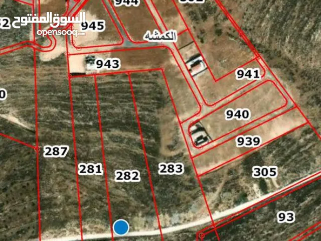 Farm Land for Sale in Zarqa Al-Kamsha