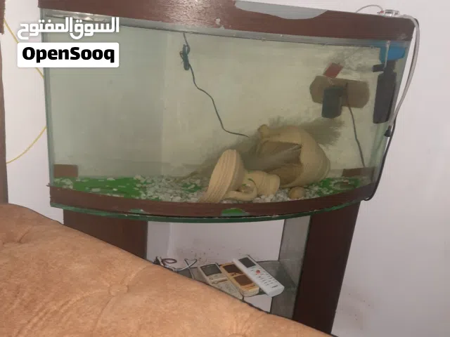 حوض سمك كبير مع فلتر