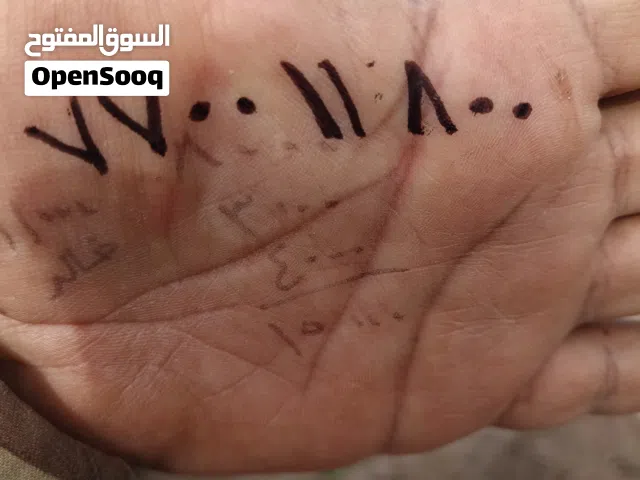 ارقام تلفونات مميزة