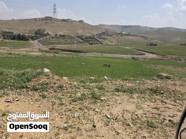 Residential Land for Sale in Amman Marka
