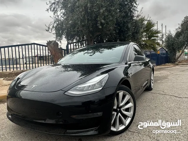 تيسلا مودل 3 ستاندر بلس 2019- Tesla Model 3 2019