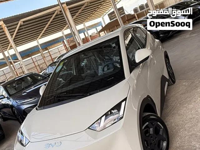 2024 بي واي دي سيجول