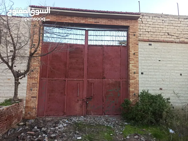 Mixed Use Land for Rent in Alexandria Agami