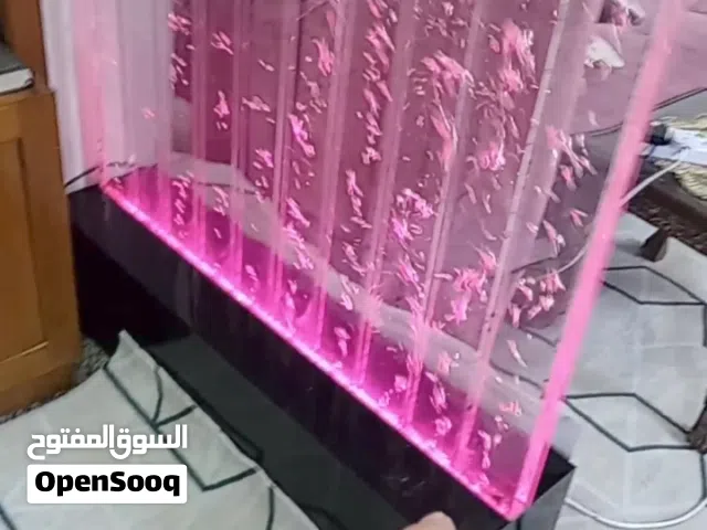 بارتيشن زجاجي فقاعي