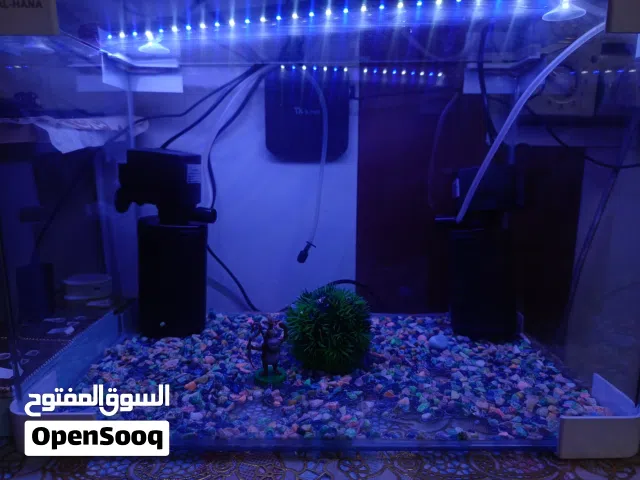 حوض الاسماك جديد كلش كبير وبي مجال لتخفيض السعر