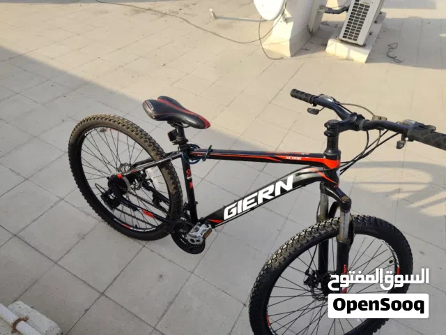 2 Adult size Bicycles