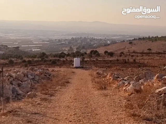 Residential Land for Sale in Jenin Deir Ghazala