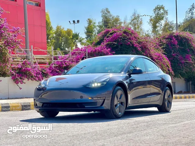 2022 Tesla Model 3 Standard Plus autoscore B+