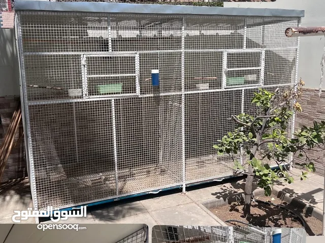 للبيع قفص تفصيل خاص بجودة عالية للطيور الصغيرة والمتوسطة ( التفاصيل ف الوصف)