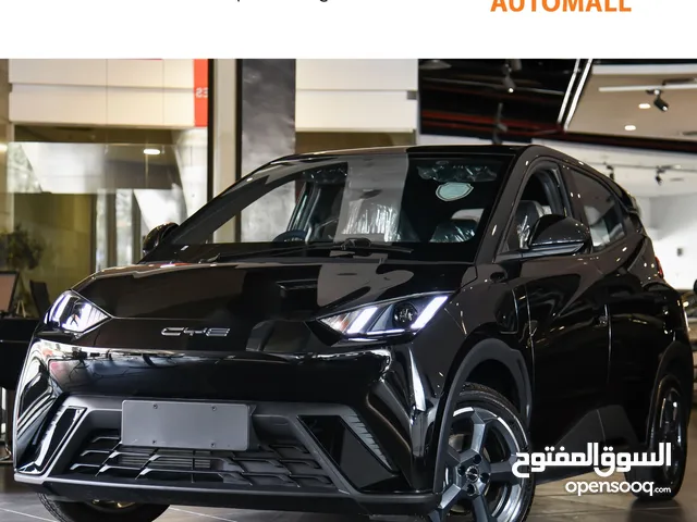 بي واي دي سيجول الكهربائية بالكامل 2024 BYD Seagull EV