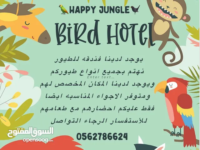 فندقه طيور مجهزه