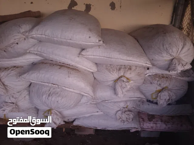 تمر نفيعه ممتاز انتاج السنه