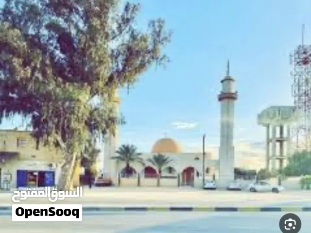 250 متر في القيو