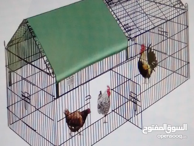 بيوت الطيور