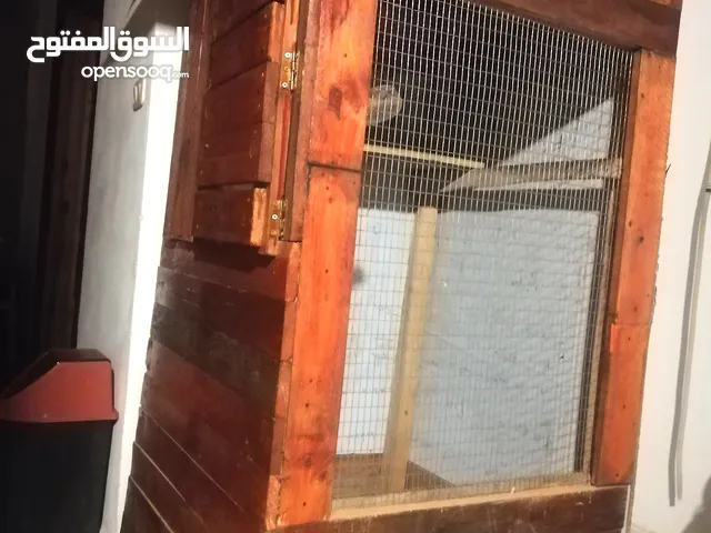 سزنة طيور خدمة متينة
