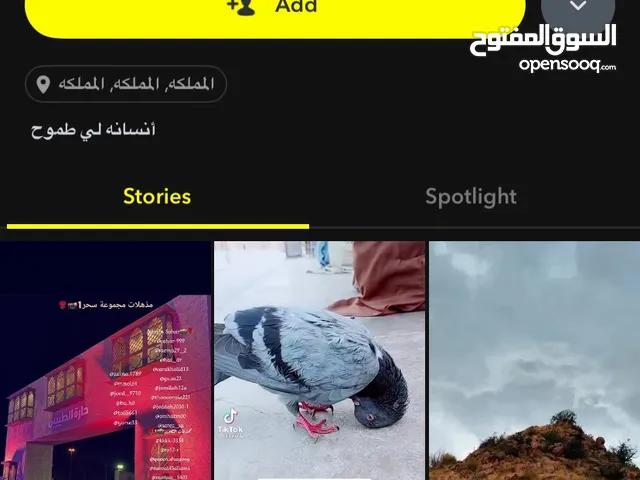 Social Media Accounts and Characters for Sale in Dammam