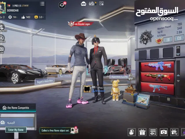 Pubg Accounts and Characters for Sale in Al Rayyan