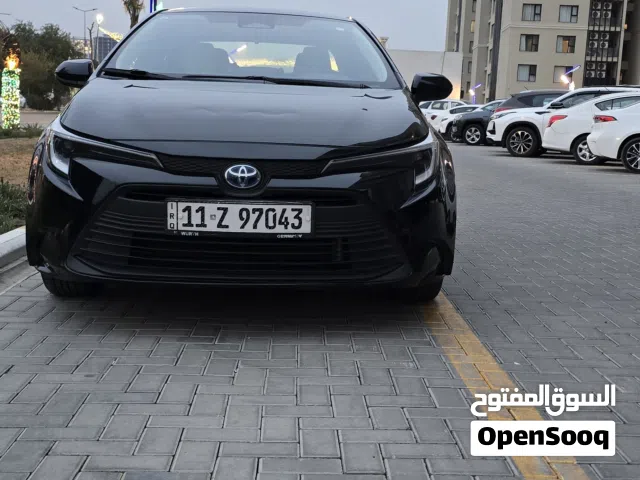 New Toyota Corolla in Baghdad