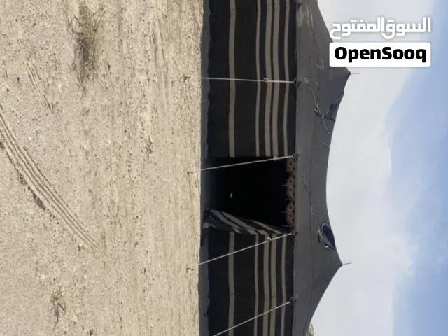 خيمة بيت شعر