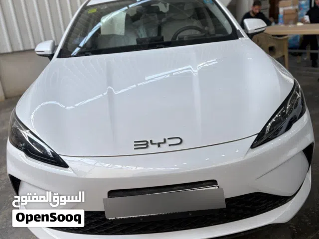 2025 BYD Other