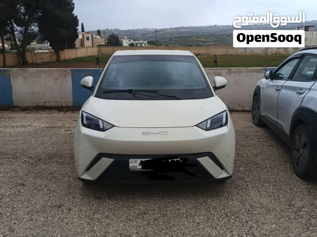 2023, بي واي دي, سيجول