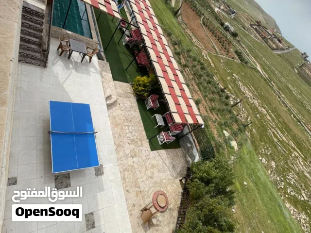 مزرعة وشاليه العمر بلعما للإيجار اليومي