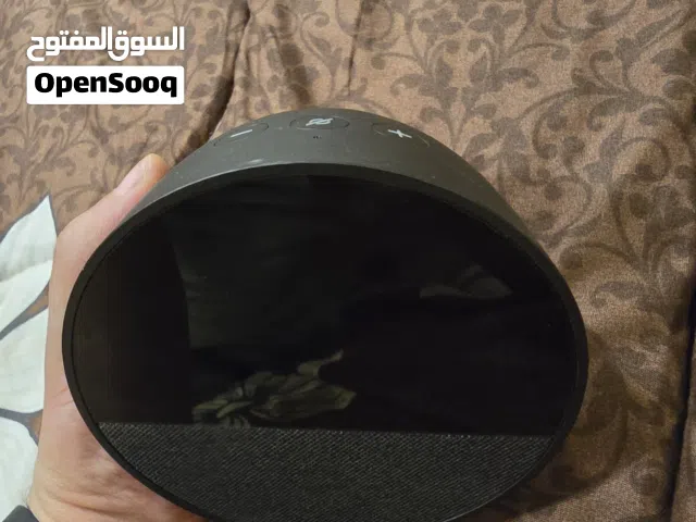 اليكسا ايكو سبوت