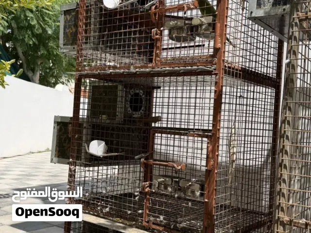 للبيع فقص ثلاث محاكر مقسم نظام الأزواج