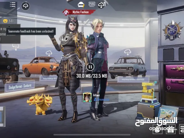 Pubg Accounts and Characters for Sale in Ma'an