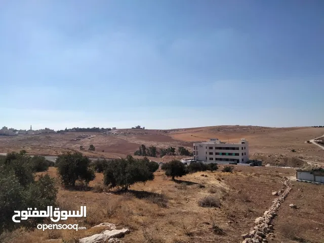 ارض للبيع في حي الضياء -ابو نصير