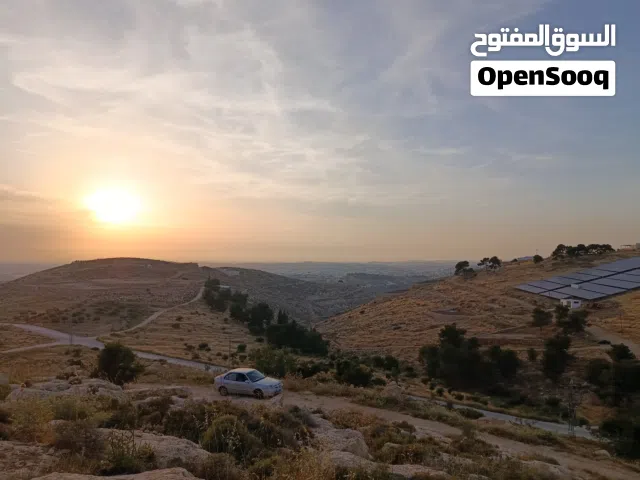 ارض للبيع في منطقة دورا الخليل
