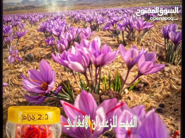 زعفران انتاج افغاني فاخر ومميز