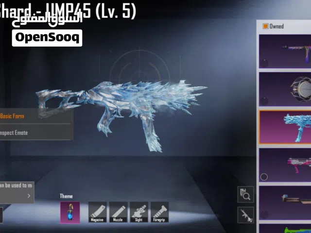 Pubg Accounts and Characters for Sale in Ramtha