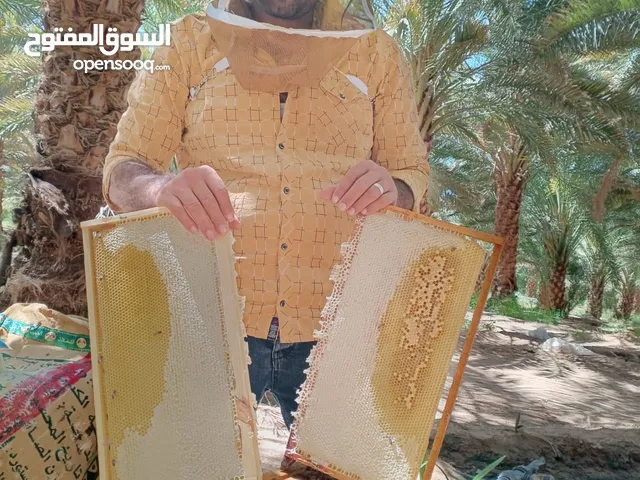 عسل مورينقا انتاج 2025
