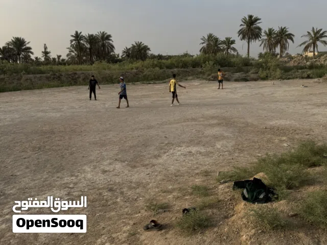 Farm Land for Sale in Basra Al-Hartha
