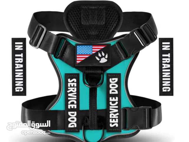 سرج كلب جديد للبيع