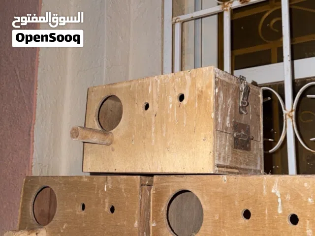 للبيع بيوت بغبغاء للانتاج وتكاثر المتوفر 4