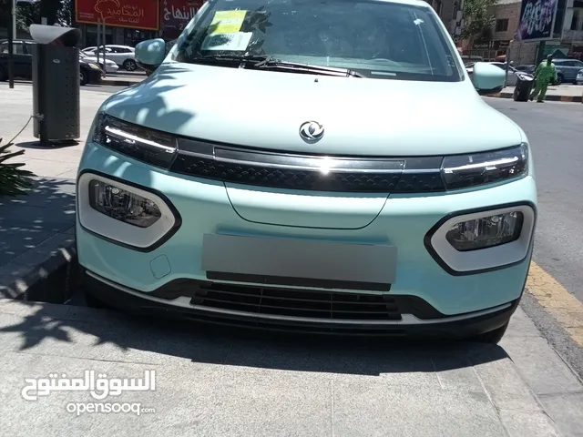 New Dongfeng EX1 in Amman