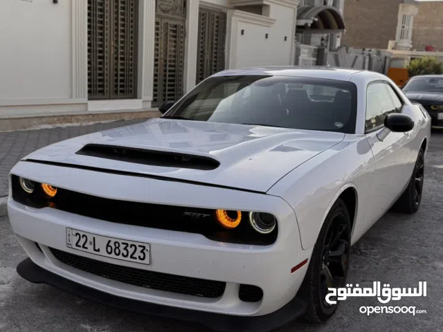 جالنجر 2017 نظيفة جدا