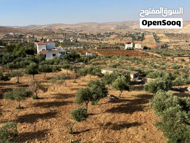 4 Bedrooms Farms for Sale in Jerash Unaybah