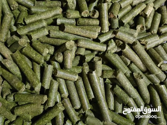 برسيم حجازي مصبعات بروتين يصل لي 20٪بروتين