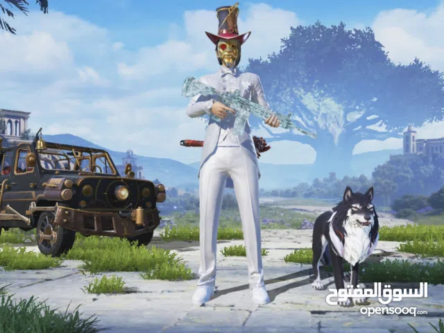 حساب ببجي للبيع PUBG MOBILE