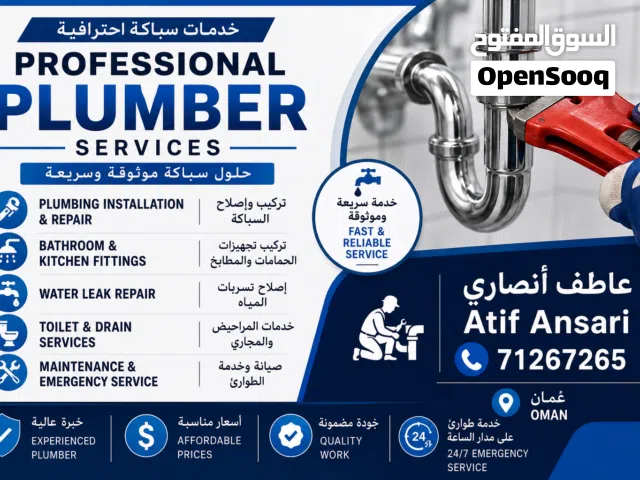 Professional Plumbing Services