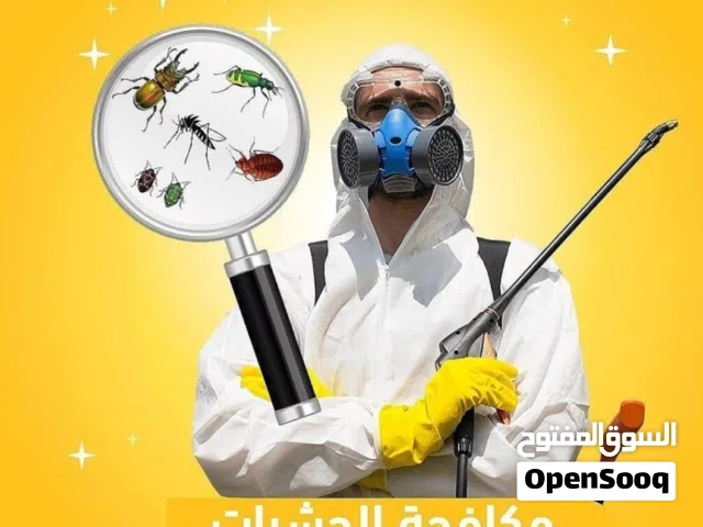 مكافأة الحشرات