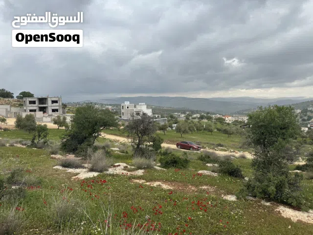 قطعة أرض مميزة العالوك بجانب شاليهات إطلالة خلابة