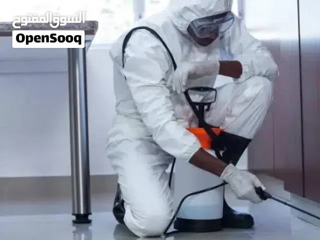 شركة مكافحة الحشرات والصراصير والرمه والنمل والبقّ والفأران بالضمان بفاتوره  مختومه من الشركه