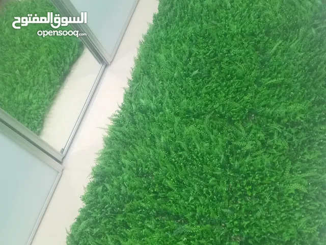 عشب صناعي للزينه 230في 120