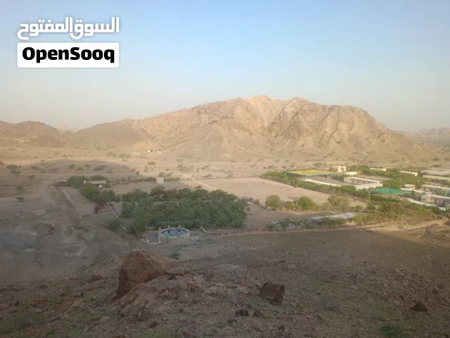 مزرعه للاجار