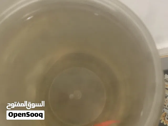 للبيع سمكه