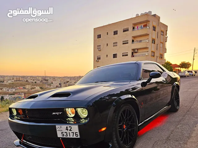 Used Dodge Challenger in Amman